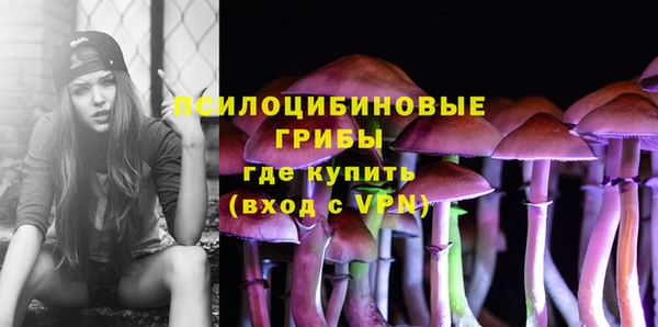 ГАЛЛЮЦИНОГЕННЫЕ ГРИБЫ Горно-Алтайск