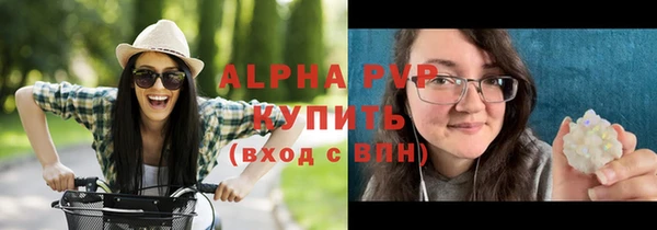 ГАЛЛЮЦИНОГЕННЫЕ ГРИБЫ Горно-Алтайск