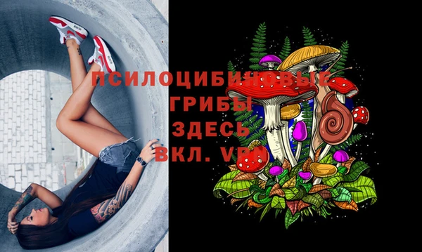 соль курить ск Горняк