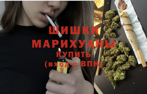 ГАЛЛЮЦИНОГЕННЫЕ ГРИБЫ Горно-Алтайск