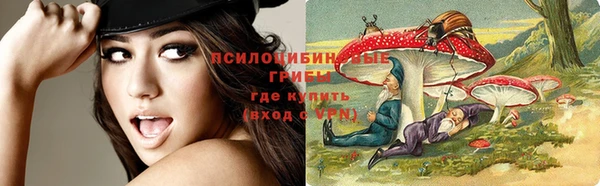 ГАЛЛЮЦИНОГЕННЫЕ ГРИБЫ Горно-Алтайск