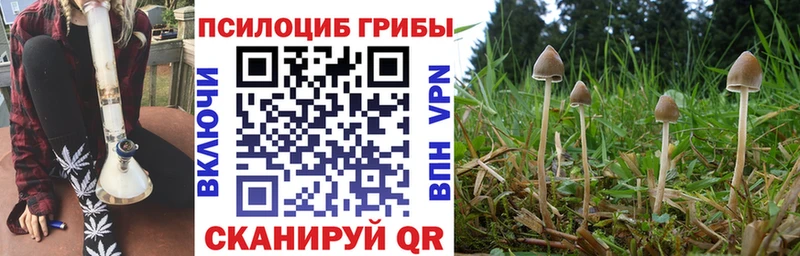 Псилоцибиновые грибы прущие грибы  Духовщина 